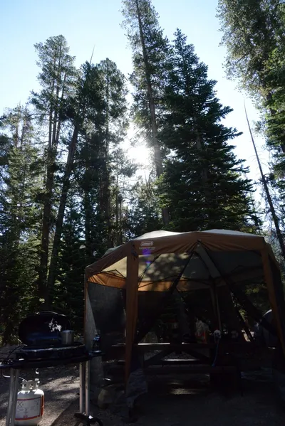 DSC_3569 (Large).JPG